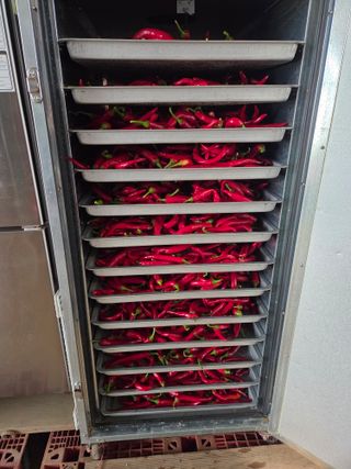 이석팔님의 고추 · 영농일지 작성글 사진