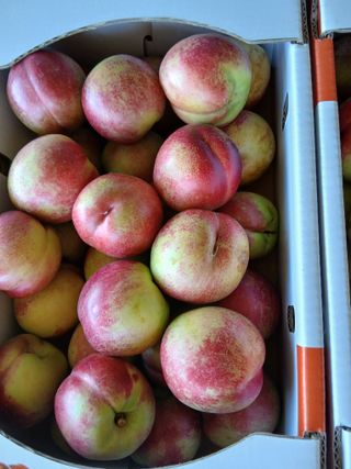 유종수님의 기타작물 · 영농일지 작성글 사진