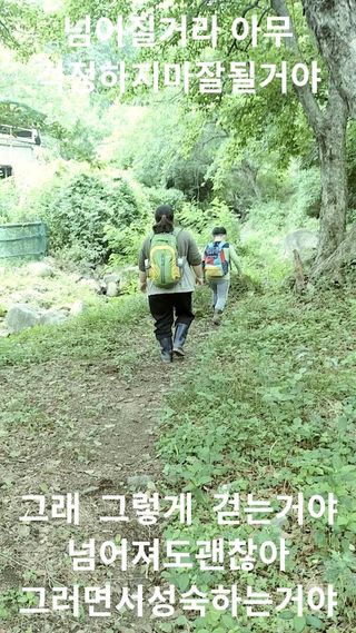 옥수수21458님의 기타작물 · 영농일지 작성글 사진