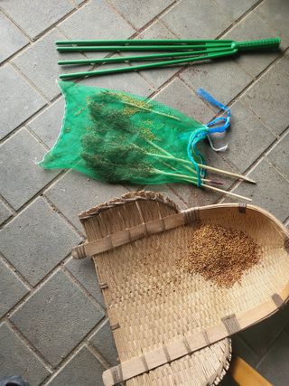 예천댁이님의 기타작물 · 영농일지 작성글 사진