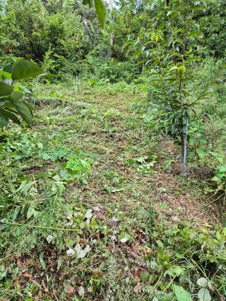 팜모닝회원류한배님의 기타작물 · 영농일지 작성글 사진