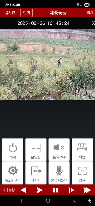 자연애 대풍농장님의 기타작물 · 영농일지 작성글 사진