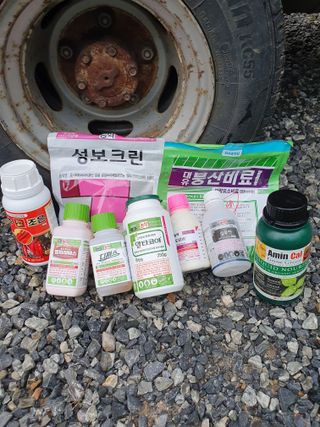 남기탁 님의 고추 · 영농일지 작성글 사진