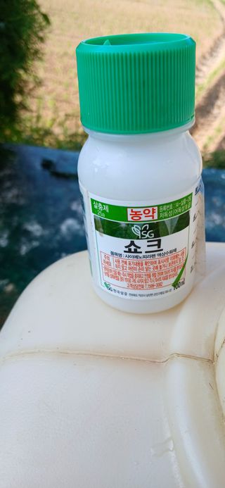 이형근님의 파 · 영농일지 작성글 사진