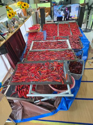 이름없음한상열님의 기타작물 · 영농일지 작성글 사진