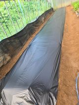 팜모닝 기타작물·영농일지 게시글 이미지