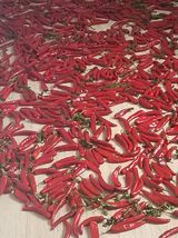 팜모닝 기타작물·영농일지 게시글 이미지