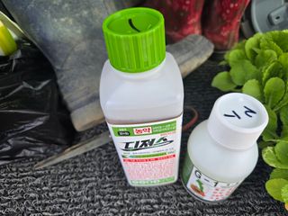 뚜벅이님의 기타작물 · 영농일지 작성글 사진