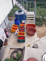 팜모닝 기타작물·영농일지 게시글 이미지