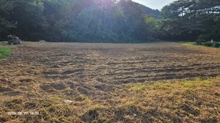 임상근님의 기타작물 · 영농일지 작성글 사진