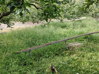 단감당감님의 감 · 영농일지 작성글 사진