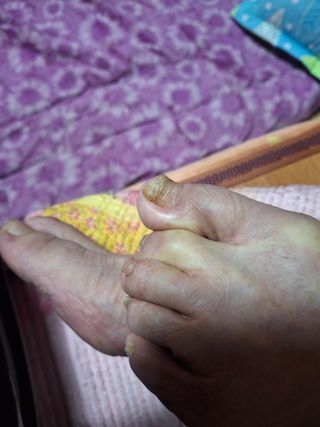 손미진 님의 기타작물 · 영농일지 작성글 사진