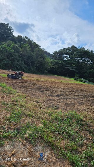 임상근님의 기타작물 · 영농일지 작성글 사진