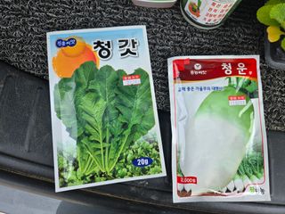 뚜벅이님의 기타작물 · 영농일지 작성글 사진