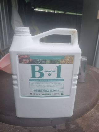 포도님의 기타작물 · 영농일지 작성글 사진