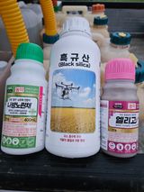 팜모닝 벼·영농일지 게시글 이미지