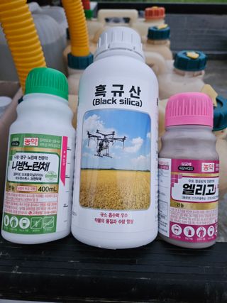 하이론님의 벼 · 영농일지 작성글 사진