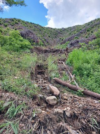 법당골길 우대영님의 기타작물 · 영농일지 작성글 사진