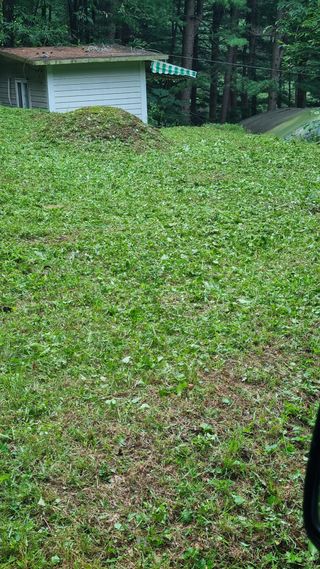 산뜰표고 이성재님의 버섯 · 영농일지 작성글 사진