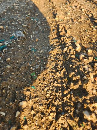 박진한님의 감 · 영농일지 작성글 사진