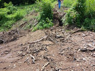 법당골길 우대영님의 기타작물 · 영농일지 작성글 사진