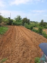 팜모닝 배추·영농일지 게시글 이미지