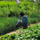 팜모닝 기타작물·영농일지 게시글 이미지