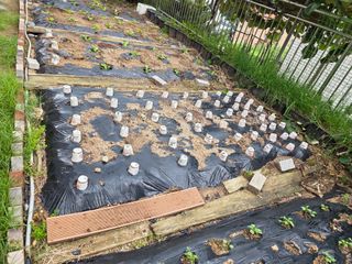 허인녕님의 기타작물 · 영농일지 작성글 사진