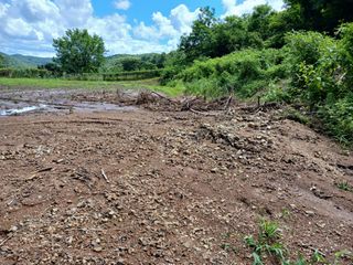 법당골길 우대영님의 기타작물 · 영농일지 작성글 사진