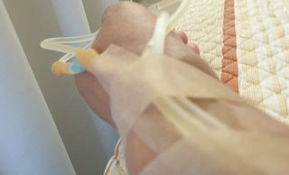 SOUL님의 기타작물 · 영농일지 작성글 사진