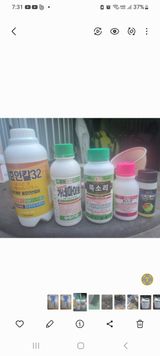 팜모닝 기타작물·영농일지 게시글 이미지