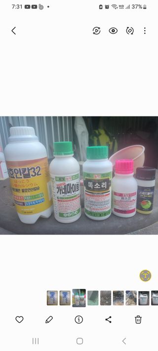 포도님의 기타작물 · 영농일지 작성글 사진