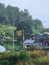 팜모닝 기타작물·영농일지 게시글 이미지