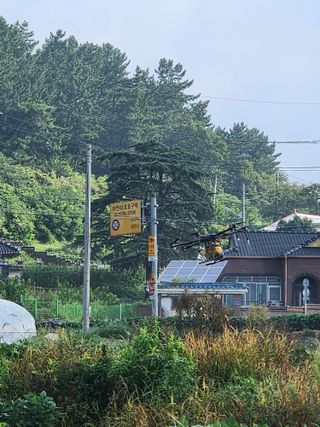 박현준 님의 기타작물 · 영농일지 작성글 사진