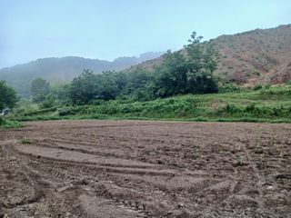 법당골길 우대영님의 기타작물 · 영농일지 작성글 사진