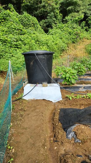 현길01021982님의 기타작물 · 영농일지 작성글 사진