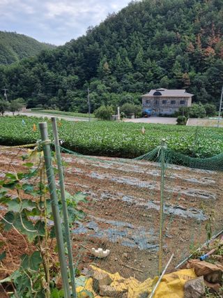 이상응님의 기타작물 · 영농일지 작성글 사진