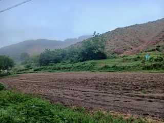 법당골길 우대영님의 기타작물 · 영농일지 작성글 사진