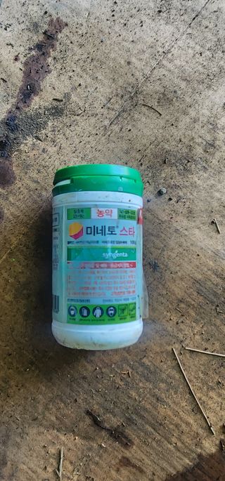 귤22640님의 귤 · 영농일지 작성글 사진