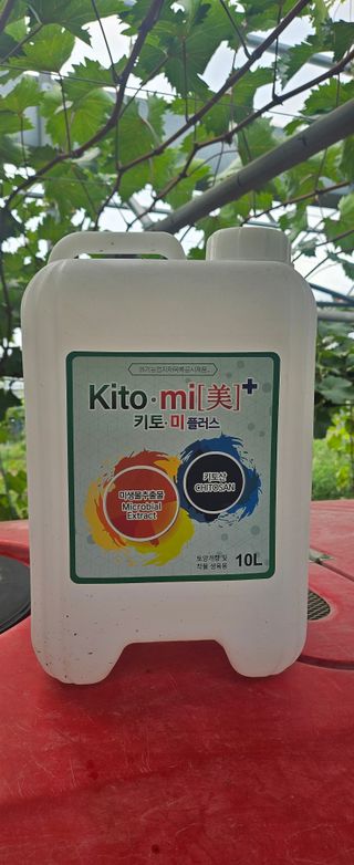 대파13439님의 포도 · 영농일지 작성글 사진