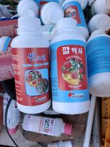 팜모닝 사과·영농일지 게시글 이미지