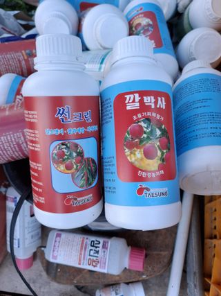 이병옥님의 사과 · 영농일지 작성글 사진