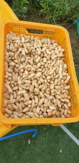 팜모닝 기타작물·영농일지 게시글 이미지