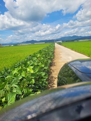 김춘성님의 기타작물 · 영농일지 작성글 사진