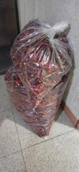 팜모닝 기타작물·영농일지 게시글 이미지