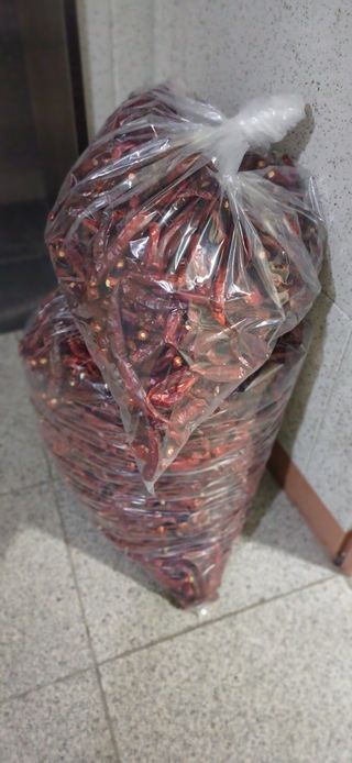 초보퍼머5도2촌준비님의 기타작물 · 영농일지 작성글 사진