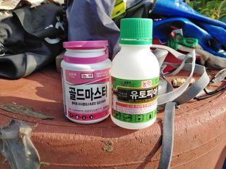 단감당감님의 감 · 영농일지 작성글 사진