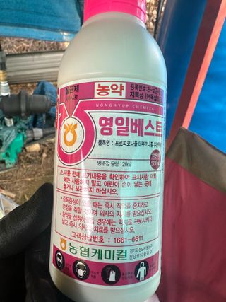 임영택님의 사과 · 영농일지 작성글 사진