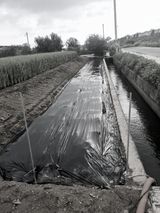 팜모닝 배추·영농일지 게시글 이미지