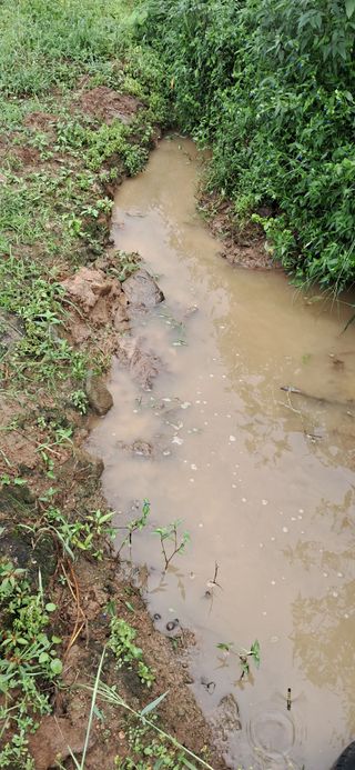 이복길님의 벼 · 영농일지 작성글 사진